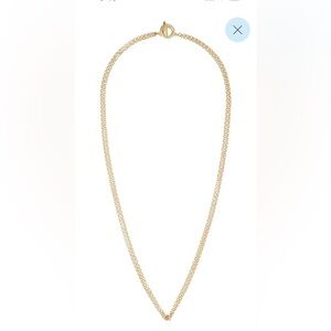 Roxanne Assoulin Gold Brass Rolo Necklace Chain